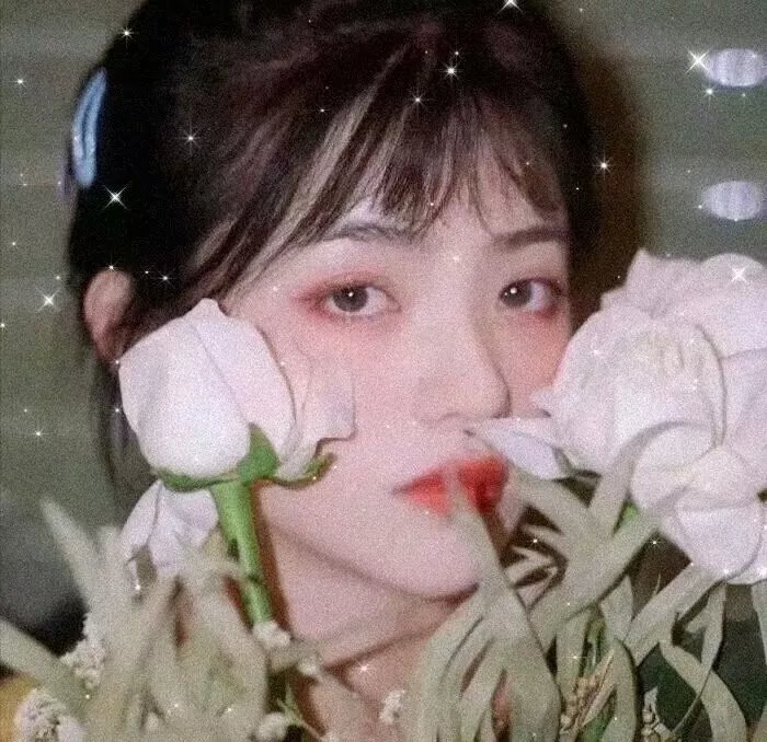 疯狂迷妹