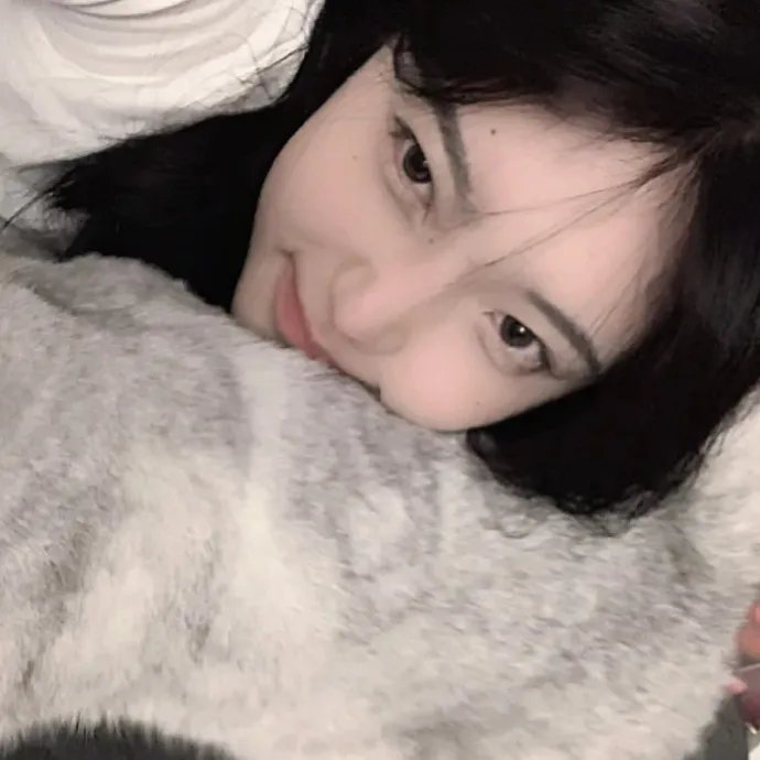 宝莲灯